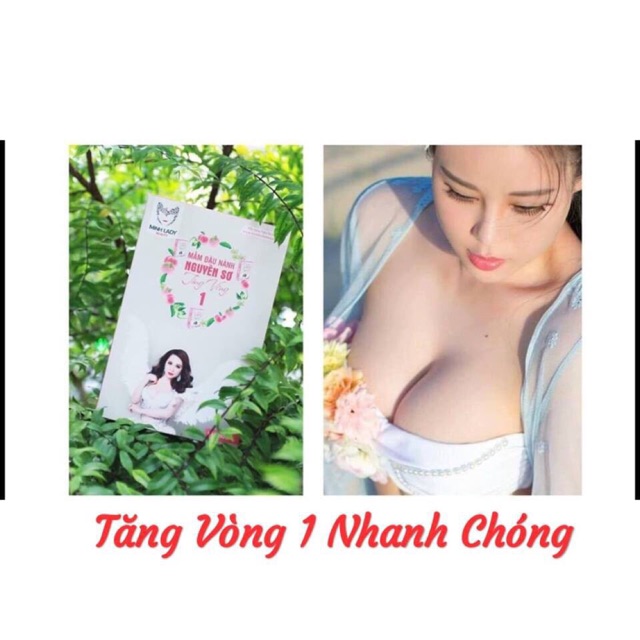 MẦM ĐẬU NÀNH MINH LADY