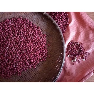 Lạc đỏ cao bằng -
