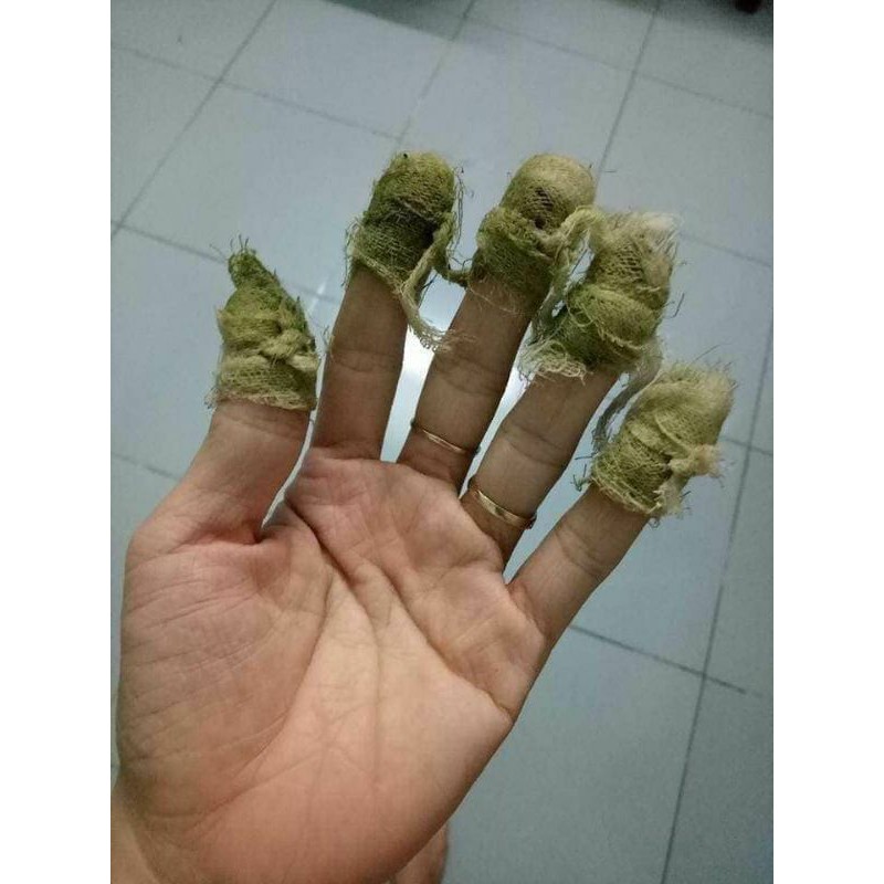 Cây Cỏ Vòi Voi Khô 01KG