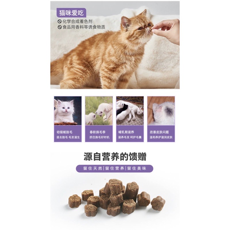 Dưỡng lông cho mèo Nourse 12 ngăn ngừa rụng lông bóng mượt lông Surica VN12