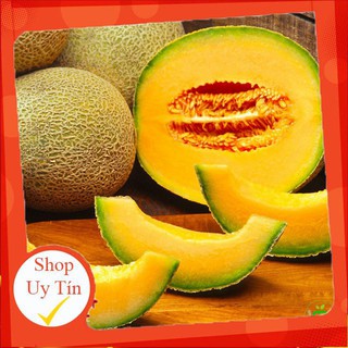- Hạt Giống Dưa Lưới Ngọc Khuê Phú Nông chất lượng.