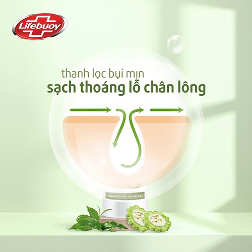 Sữa tắm detox diệt khuẩn Lifebuoy Matcha khổ qua 800g