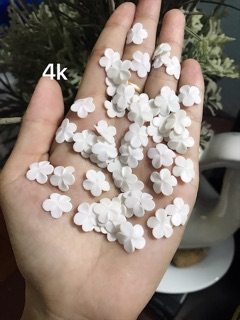 hoa mai bột1 tầng