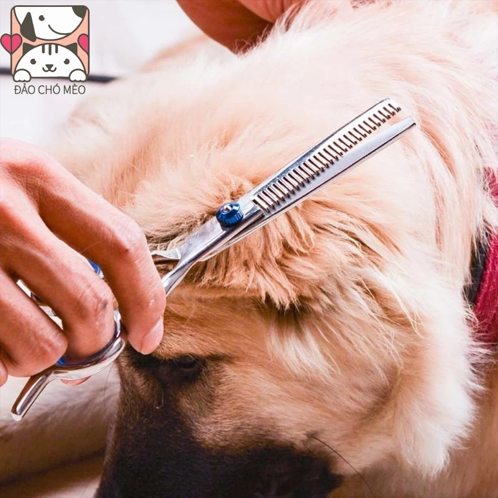 Kéo Cắt Tỉa Lông Chó Mèo Full Bộ , Kéo cắt lông chó siêu sắc bén, Chất thép tốt, Đầy đủ phụ kiện kèm theo - Petlove