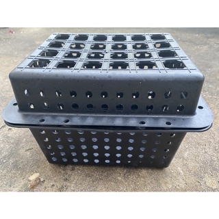 Hộp nuôi và dưỡng cua