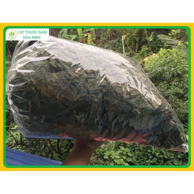 Lá vông nem mất ngủ 1 kg