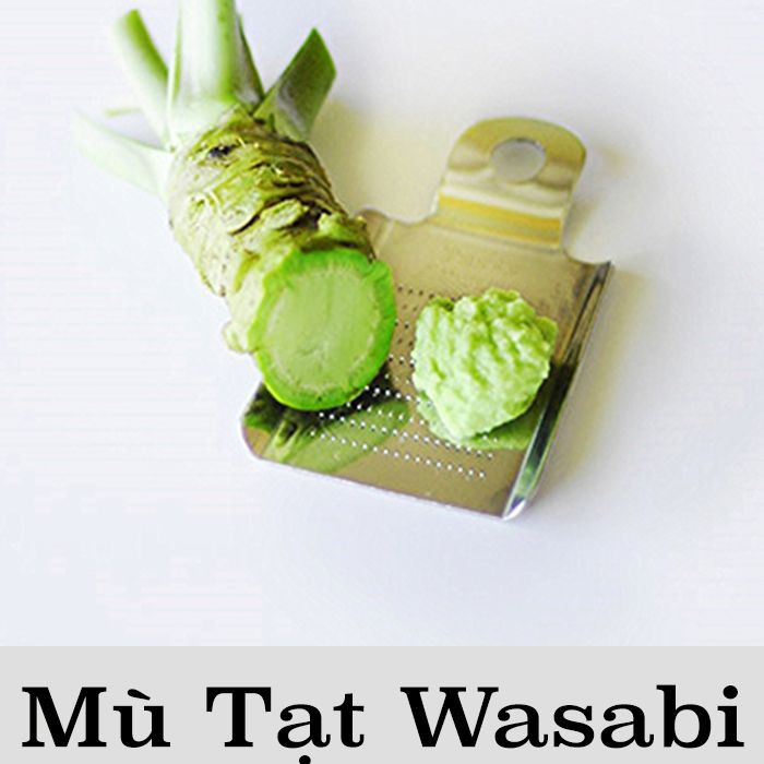 [HÀNG CHUẨN NHẬT ĐẬM ĐÀ] Mù tạc tươi từ củ wasabi - Dạng tuýp