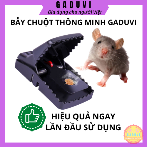 Bẫy Chuột Thông Minh GADUVI, Cây Bẫy Kẹp Ch Hiệu Quả Cao Hơn So Với Keo Bẫy Chuột