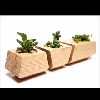 Hộp cây gỗ in hình theo yêu cầu