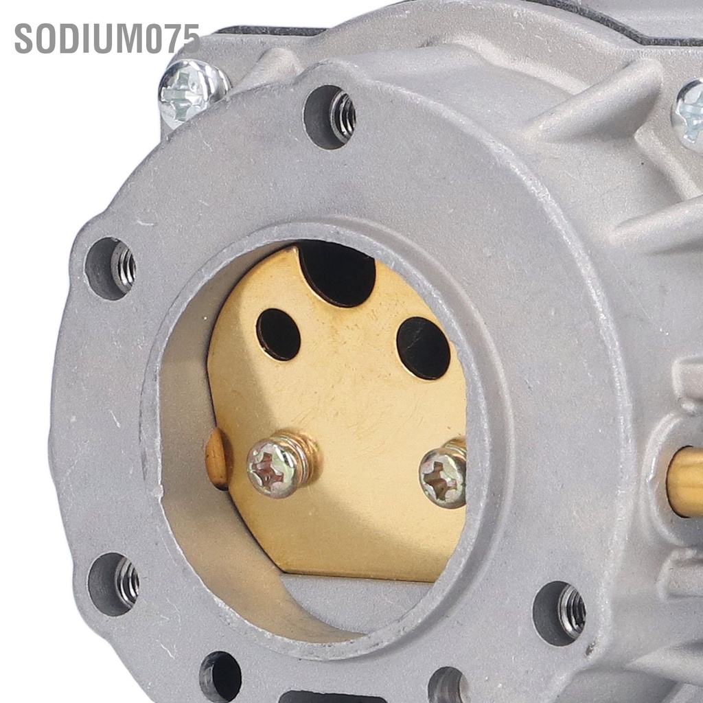 Sodium075 Bộ chế hòa khí nhôm Phụ kiện máy phát điện động cơ xăng Thay thế cho bộ 495181