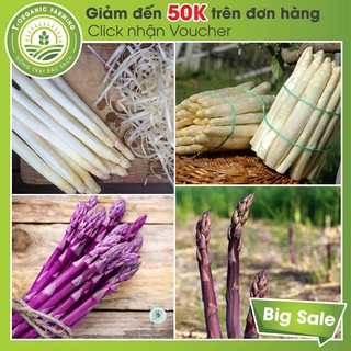 Gói 30 Hạt Giống Măng Tây (Tím, Trắng, Xanh) F1