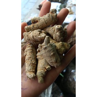 Củ tam thất bắc tốt cho sức khỏe (200g)
