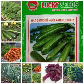 COMBO 7 loại hạt giống rau dễ trồng 4 mùa dễ trồng