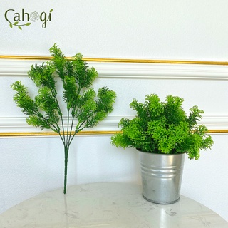 Cây Giả - Cành Rong La Hán