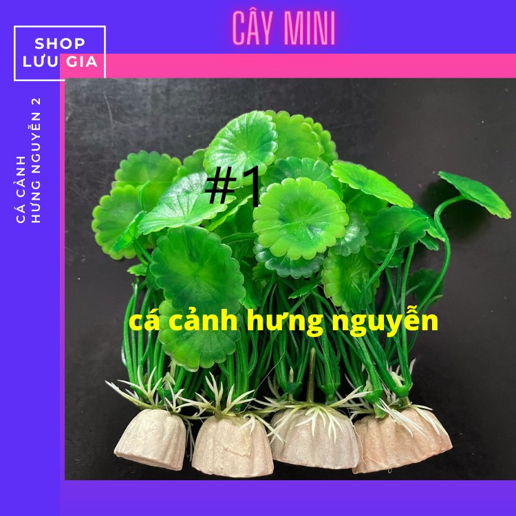 Cây cỏ nhựa size mini và to dùng trang trí hồ cá nhỏ [ ĐỦ MÀU ] | Phụ kiện cây nhựa trang trí bể cá cảnh | Lưu gia decor