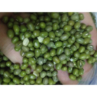 600g Đậu xanh nguyên hạt