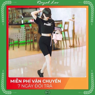 [GIẢM 10K CHO ĐƠN TỪ 99K] Quần Legging Lửng Nữ - Kiểu Quần Legging Ngố Đùi - Nâng Mông Cạp Cao Siêu Hót Siêu Co Dãn