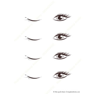 Makeup Face chart - Chart tập mắt M02