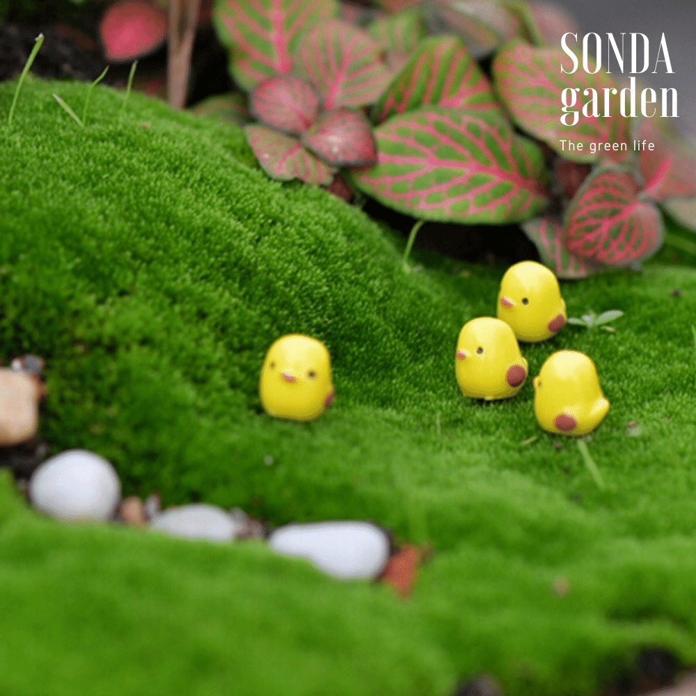 Phụ kiện 5 chú gà con SONDA GARDEN siêu dễ thương