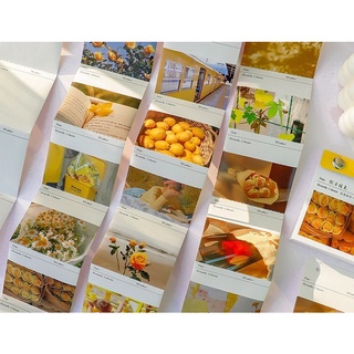 Set 32 sticker ghi nhật ký