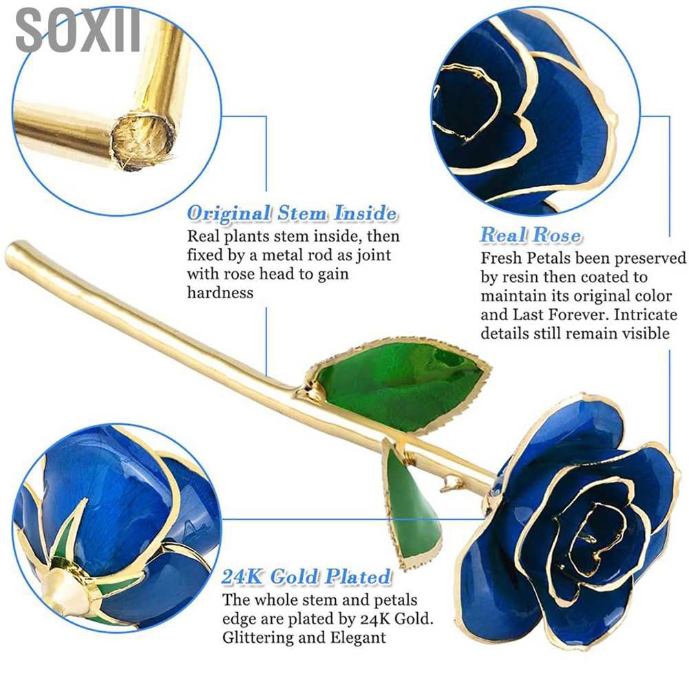 Soxii Real Dipped Blue Rose with Bracket Flower Decoration 24K Gold Plated Green Leaf Gift for Birthday Valentine's Day