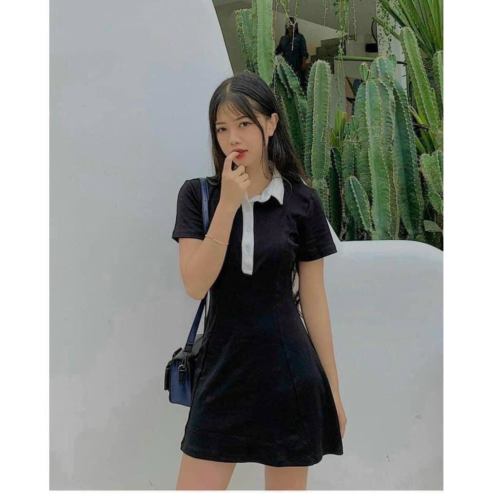 đầm dáng xòe A cổ bẻ viền trắng chất coton đẹp pu