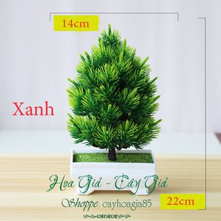 Cây Giả -  Cây Thông Để Bàn