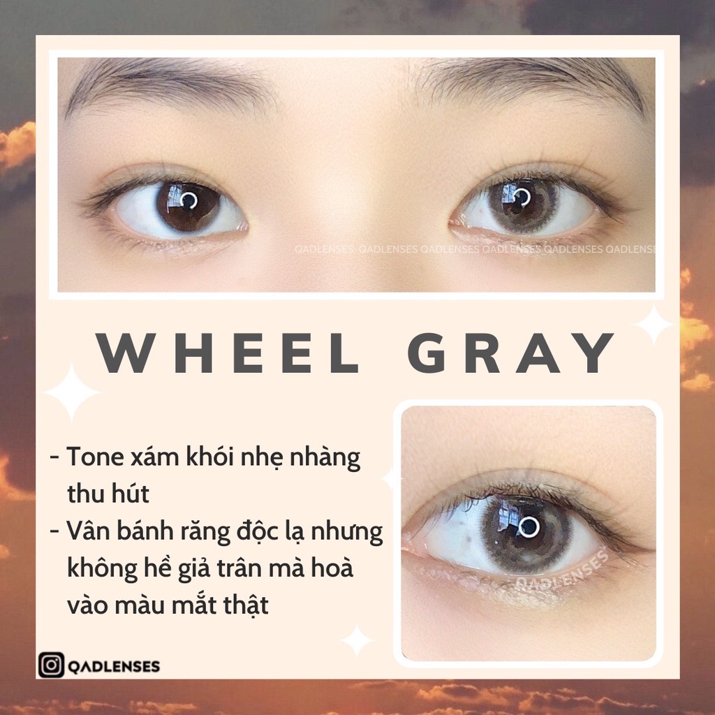 Wheel Gray Qadlenses Lens XÁm trong giãn nhẹ Kính áp tròng Lens Khay