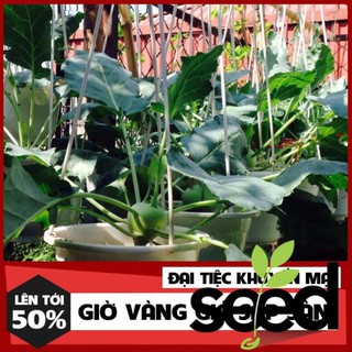 Hạt Giống Su Hào Phú Nông 2 Gram