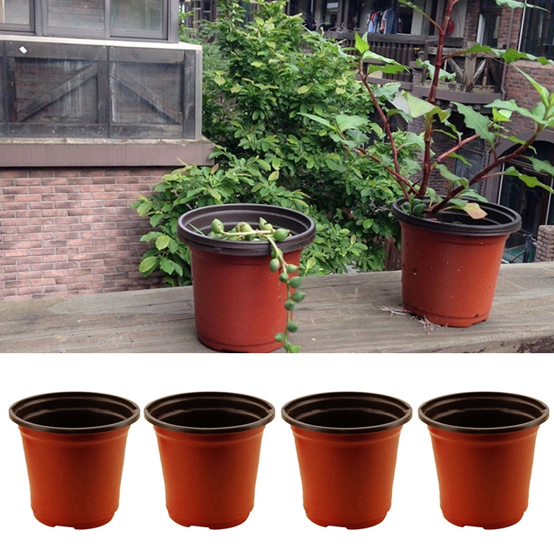 1 Chậu Hoa Mini Mềm Mại Sáng Tạo