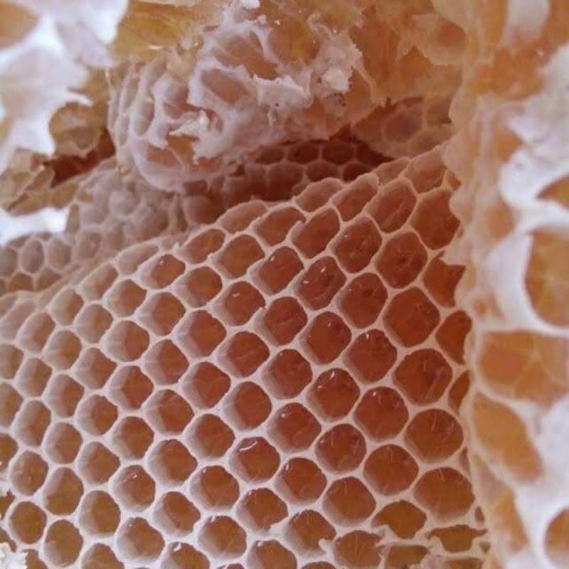 1lit mật ong hoa cà phê /mật ong nguyên chất