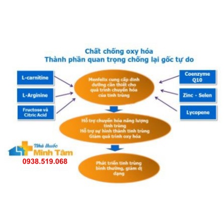 MENFELIX dành cho phái mạnh