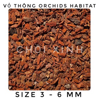 1kg Vỏ thông Indonesia Size 3 -6 mm