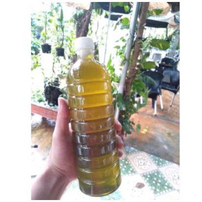 Mật ong bạc hà nguyên chất 1 lit