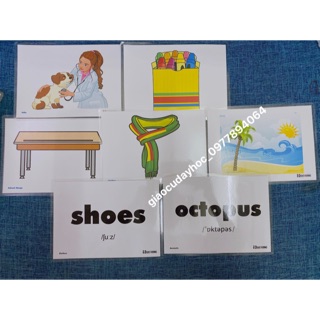 Flashcard 22 chủ đề Tiếng Anh(276 thẻ ép plastics )