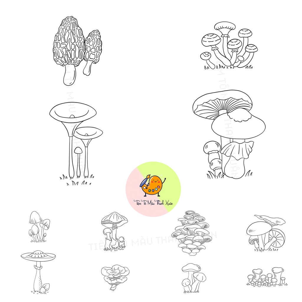 Set 10 Tờ Tranh Tô Màu Các Loại Nấm Tô Màu Sáp, Màu Chì - Tiệm Tô Màu Thanh Xuân