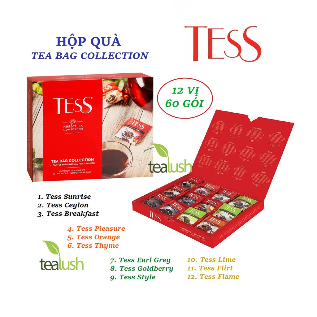HỘP QUÀ - HỘP TRÀ TESS TEA BAG COLLECTION 12 VỊ 60 GÓI