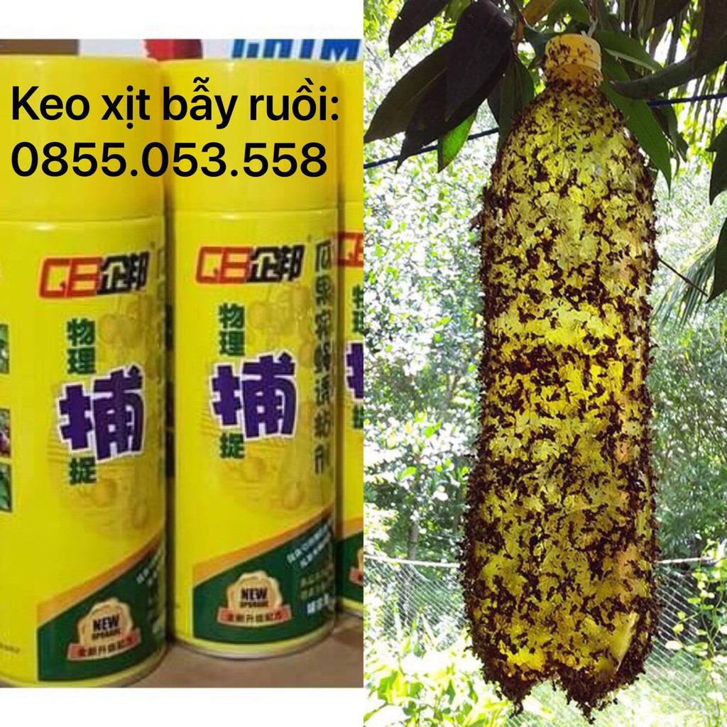 Keo xịt bẫy ruồi vàng 450ML Ở Vườn Cây Ăn Trái, Rau Màu, Phong Lan, Cây Cảnh 450ml