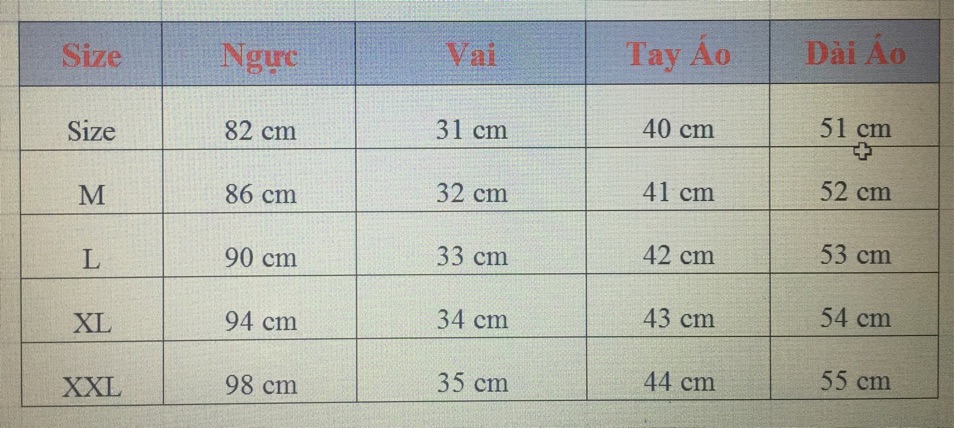 ÁO REN HOA CÔNG SỞ TAY LỠ
