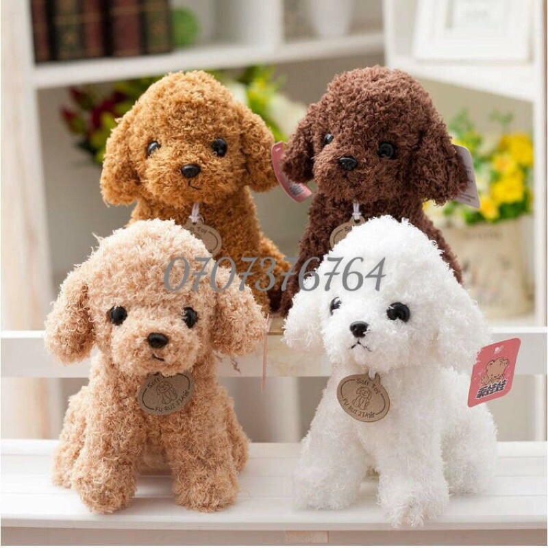 Gấu Bông CHÓ POODEL Lông Chỉ NGỒI 20cm Siêu Cưng Cao Cấp,Lông Chỉ Mịn