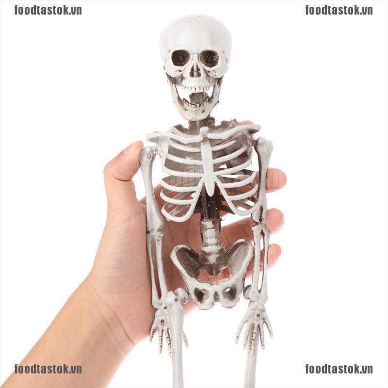 Mô Hình Bộ Xương 40cm Trang Trí Halloween