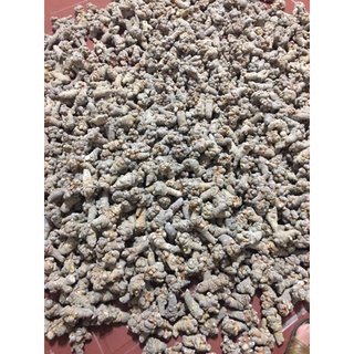 củ tam thất size 52củ , 66 củ 1kg