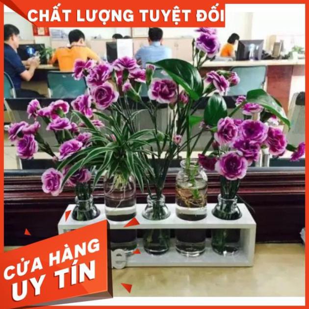SÉT 5 BÌNH CẮM HOA THỦY TINH