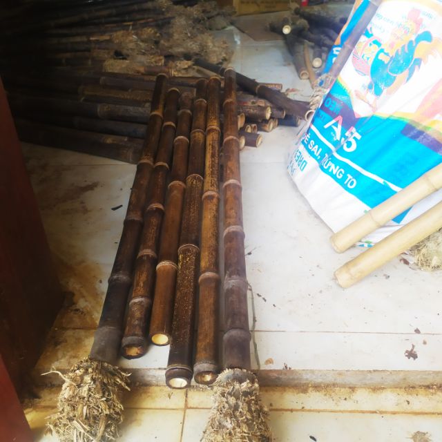 Nguyên liệu trúc tím làm sáo trúc, động tiêu