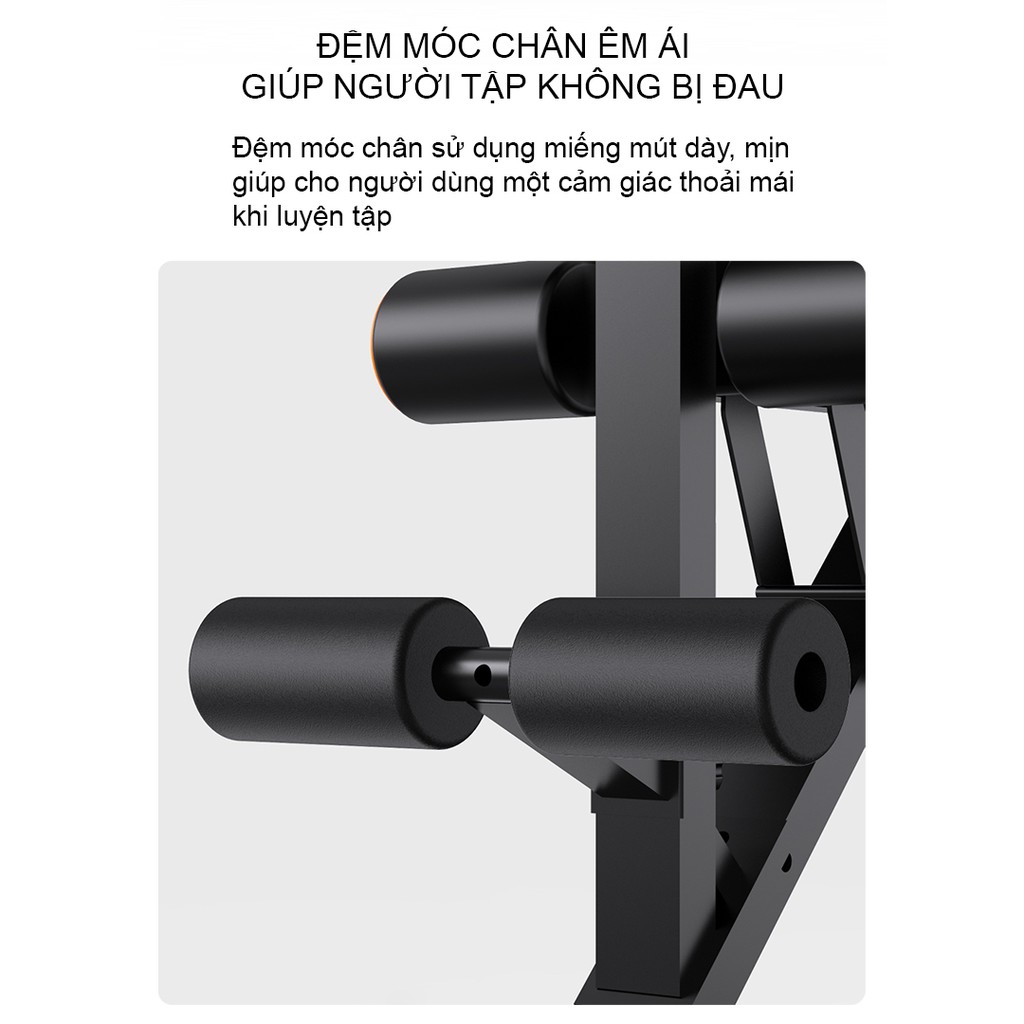 Ghế Tập Tạ Điều Chỉnh Đa Năng FED-XM0117 (Bảo hành 12 tháng)