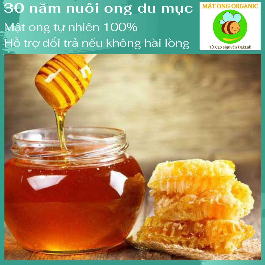 [TRỢ GIÁ] Mật Ong Nguyên Chất 100% Hoa Cà Phê ĐakLak 220ml - 30 Năm Nuôi Ong, Đặc Sản Tây Nguyên