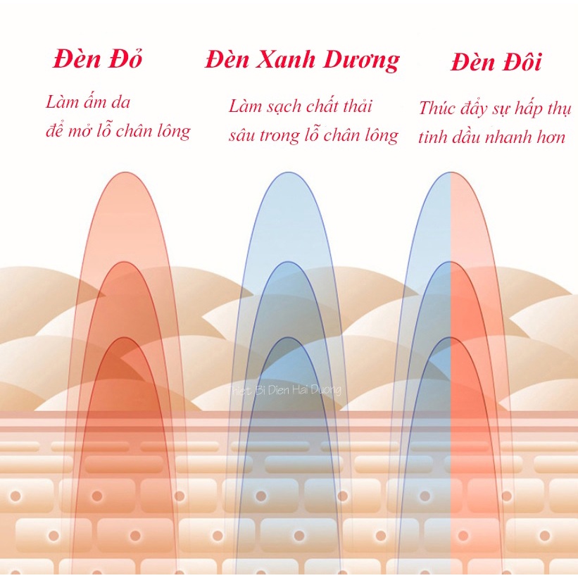 Máy Giác Hơi Chân Không Cao Cấp - 3 Chế Độ Tùy Chọn - Không Dùng Ống Lửa - An Toàn Cho Da - Chuyên Dụng Các Vùng Cơ Thể