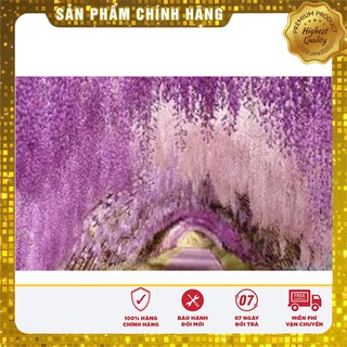 Hạt giống hoa Tử Đằng