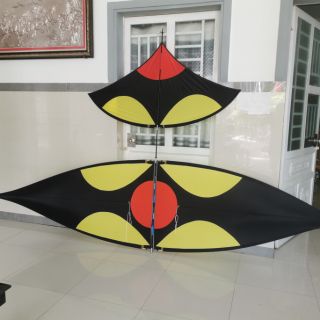 Diều sáo carbon 3,5m