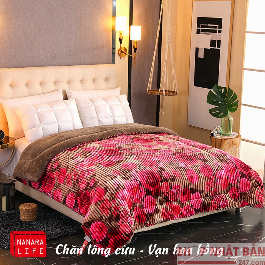 [PP chính hãng] Chăn lông cừu Queen Nanara Life Nhật Bản